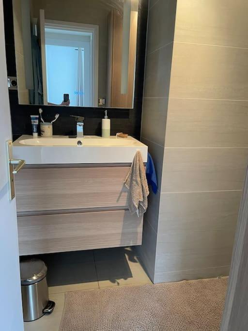 Appartement A 150M Du Lac- Plage De L'Imperial Άννεσι Εξωτερικό φωτογραφία